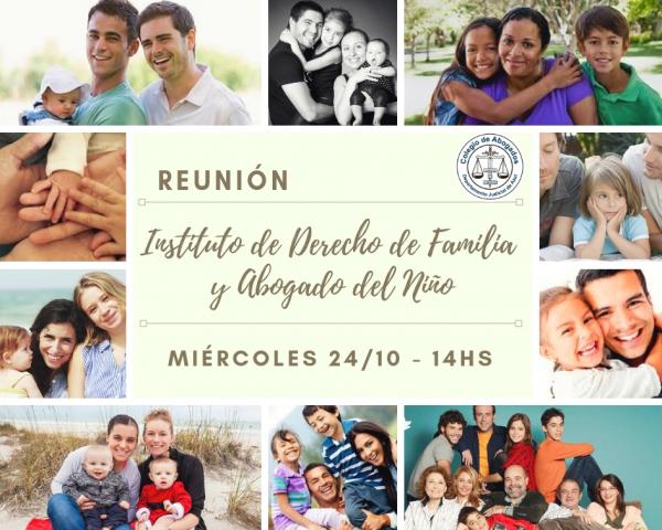 REUNIÓN DEL INSTITUTO DE DERECHO DE FAMILIA Y ABOGADO DEL NIÑO