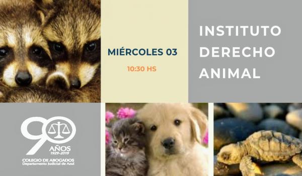 REUNIÓN DEL INSTITUTO DE DERECHO ANIMAL