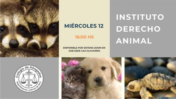 REUNIÓN DEL INSTITUTO DE DERECHO ANIMAL