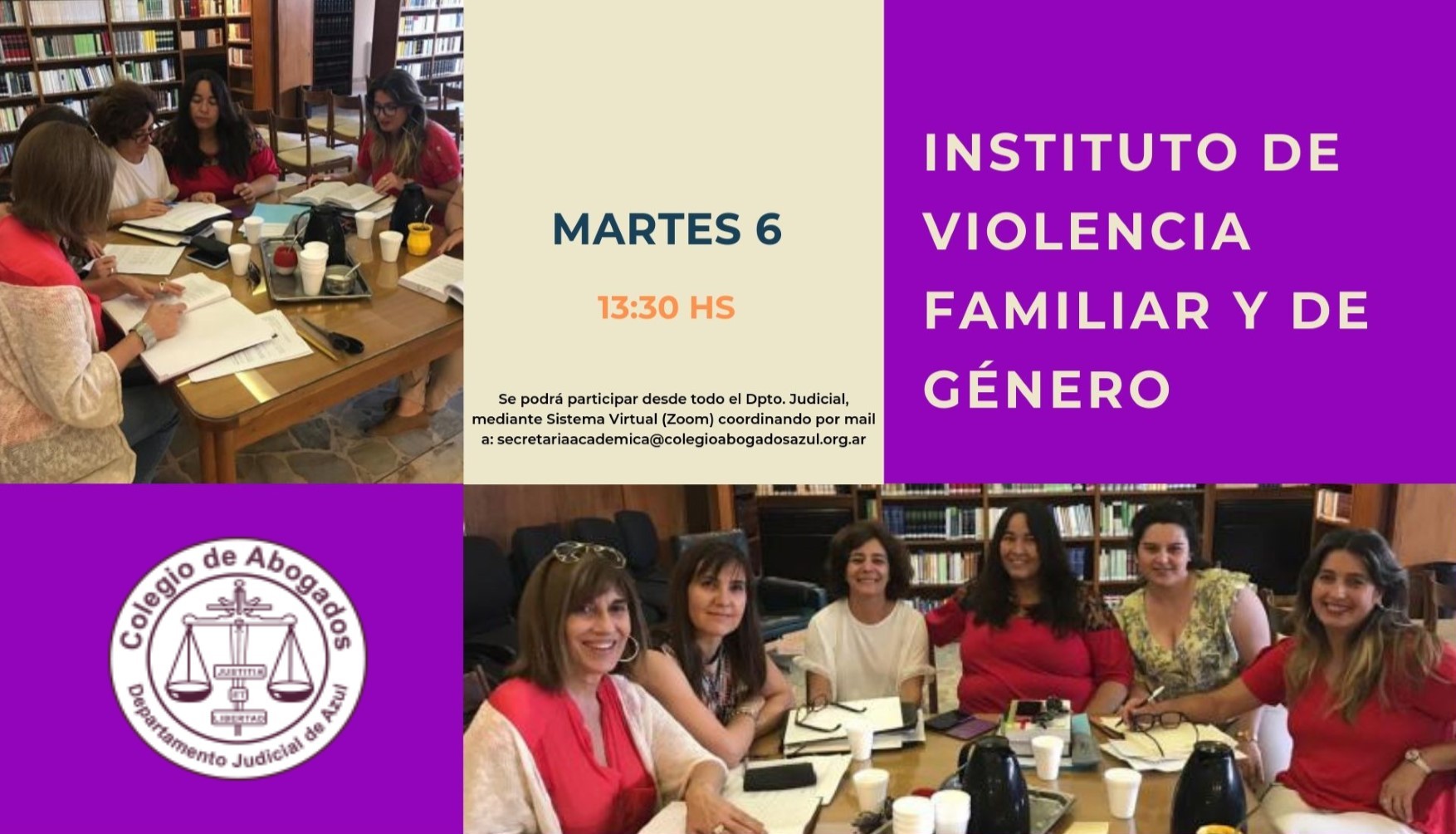 Reunión del Instituto de Violencia Familiar y de Género