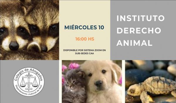 Reunión del Instituto de Derecho Animal