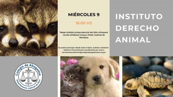 Reunión del Instituto de Derecho Animal
