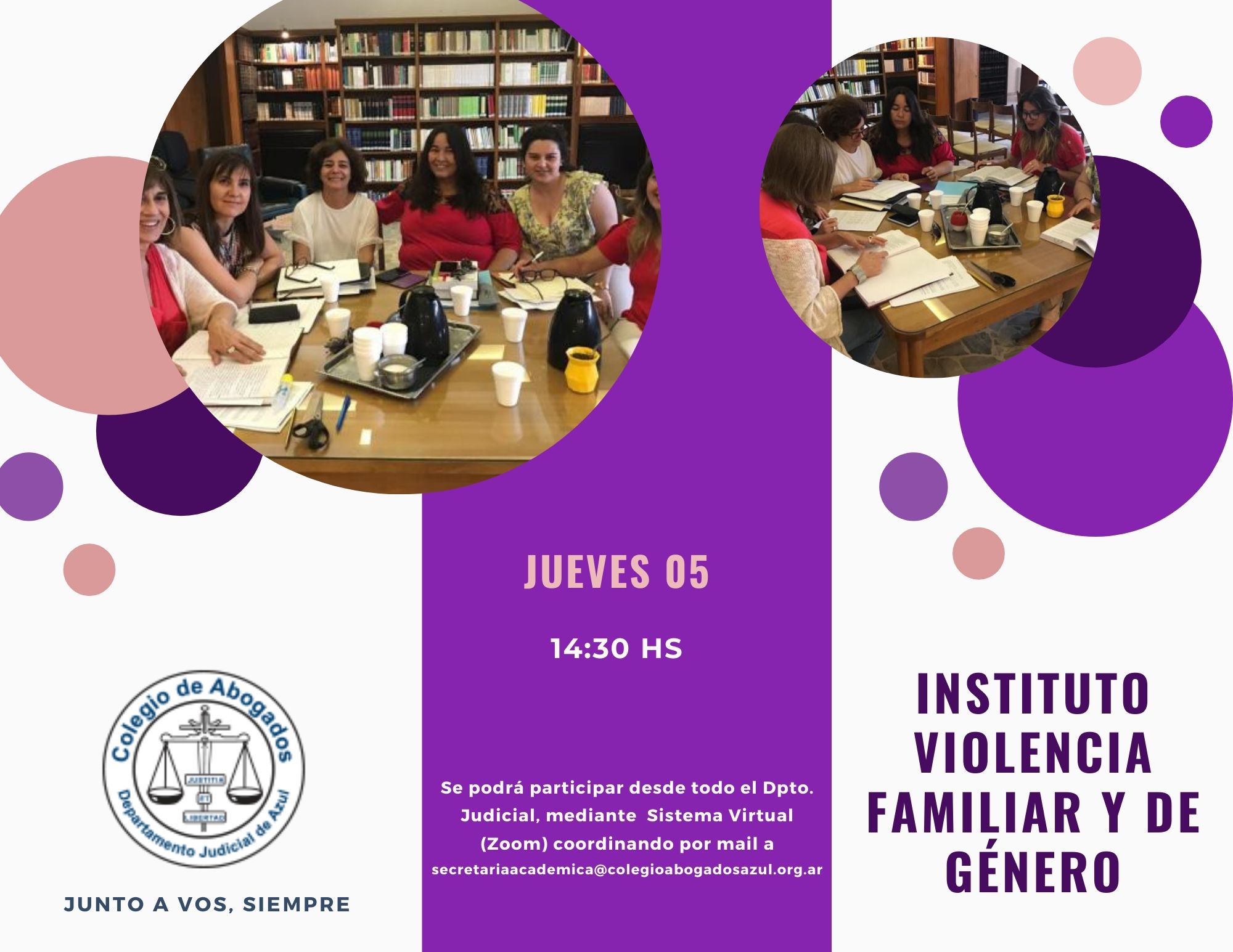 Reunión del Instituto de Violencia Familiar y de Género