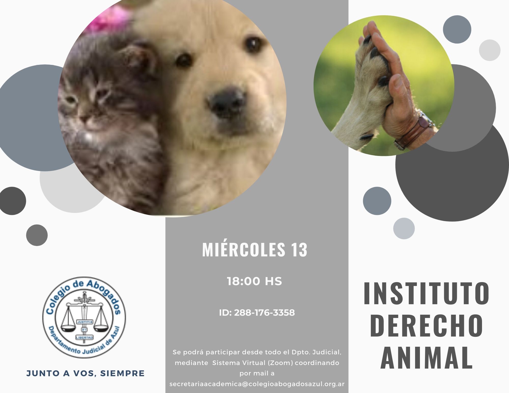 Reunión del Instituto de Derecho Animal