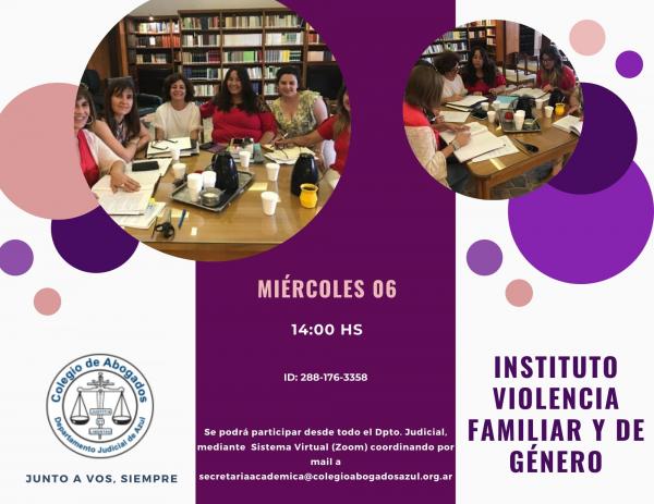 Reunión del Instituto de Violencia Familiar y de Género