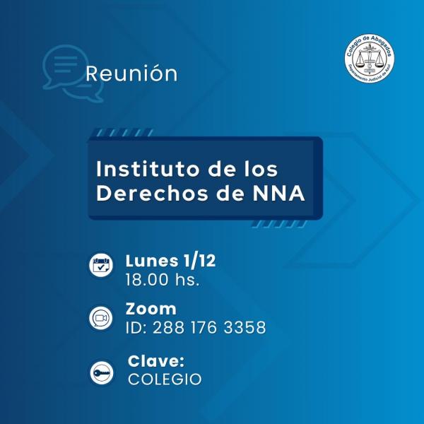 Reunión del Instituto de los Derechos de niños, niñas y adolescentes