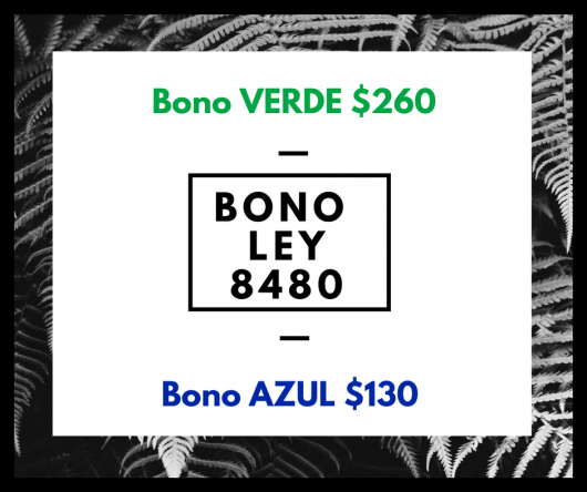 Reclamo de Bonos Ley 8480