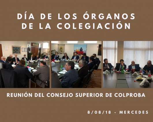 COMENZÓ EL DÍA DE LOS ÓRGANOS DE LA COLEGIACIÓN